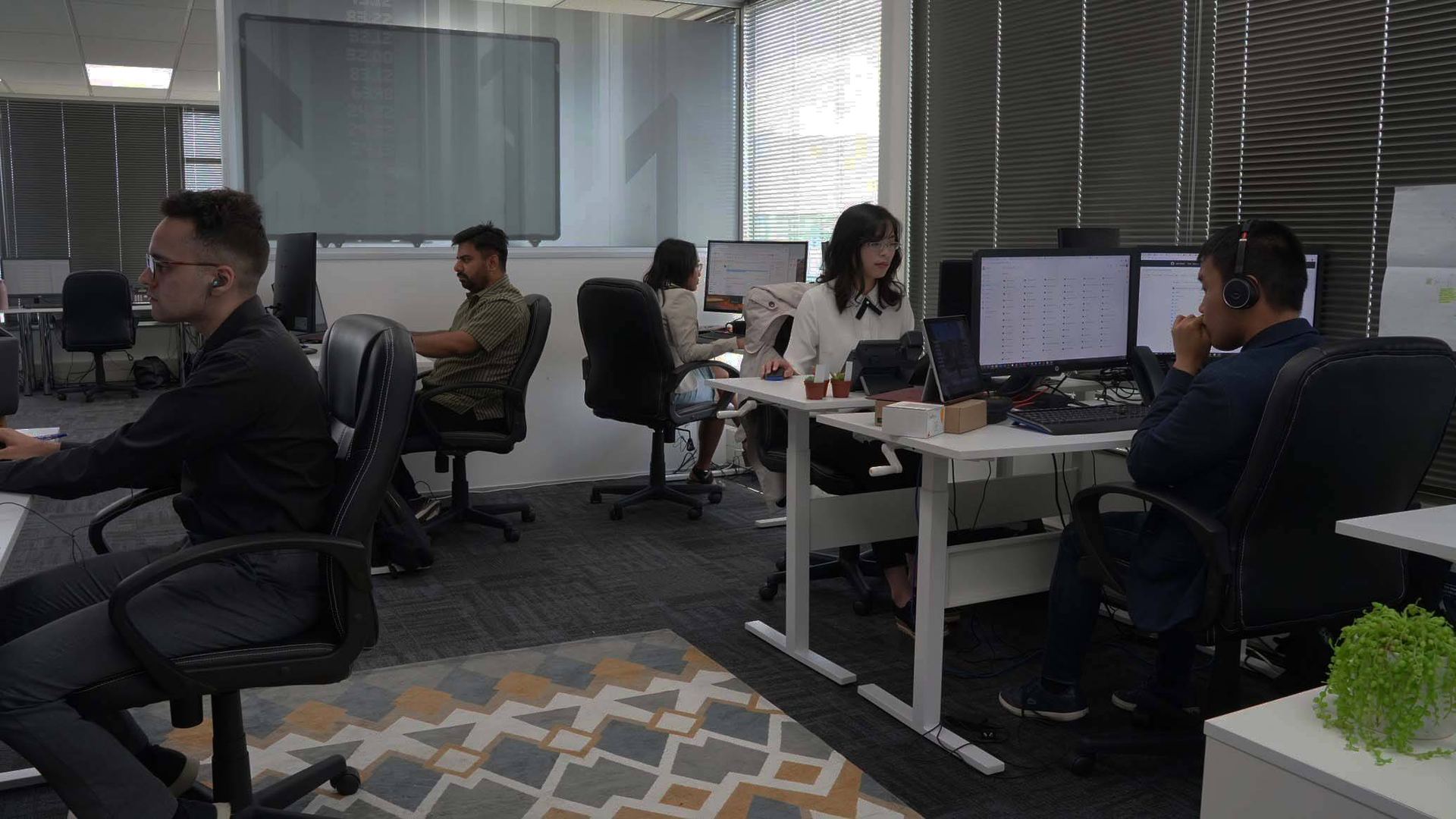 Website Design Auckland team working on web development projects in our Auckland office